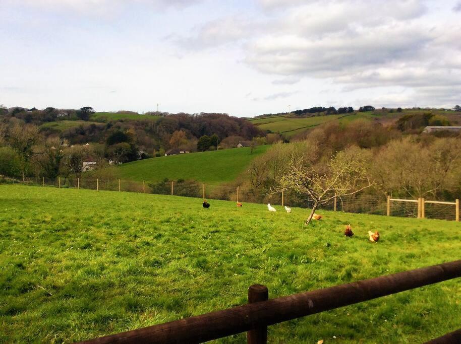 Bosvean Holiday home Bude